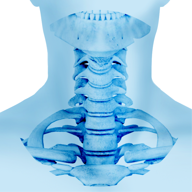 Upper Cervical